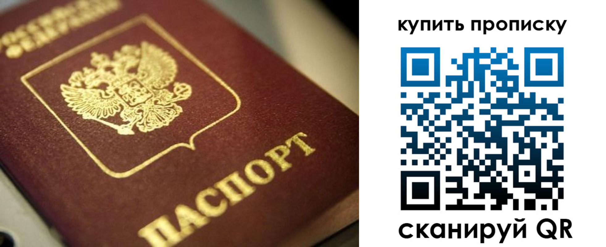прописка поиск в Судогде